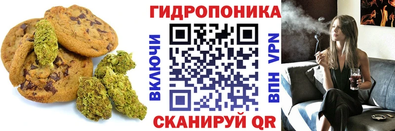 mega онион  Альметьевск  Canna-Cookies марихуана 