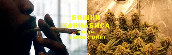 альфа пвп Бородино