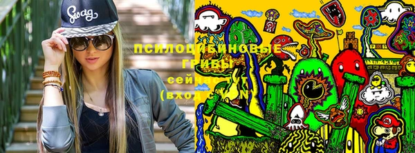 альфа пвп Бородино