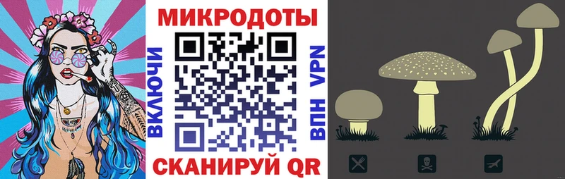 Галлюциногенные грибы Cubensis купить закладку Альметьевск